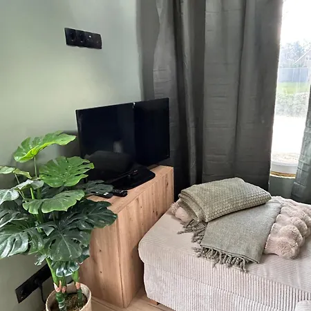 Tiny Haus